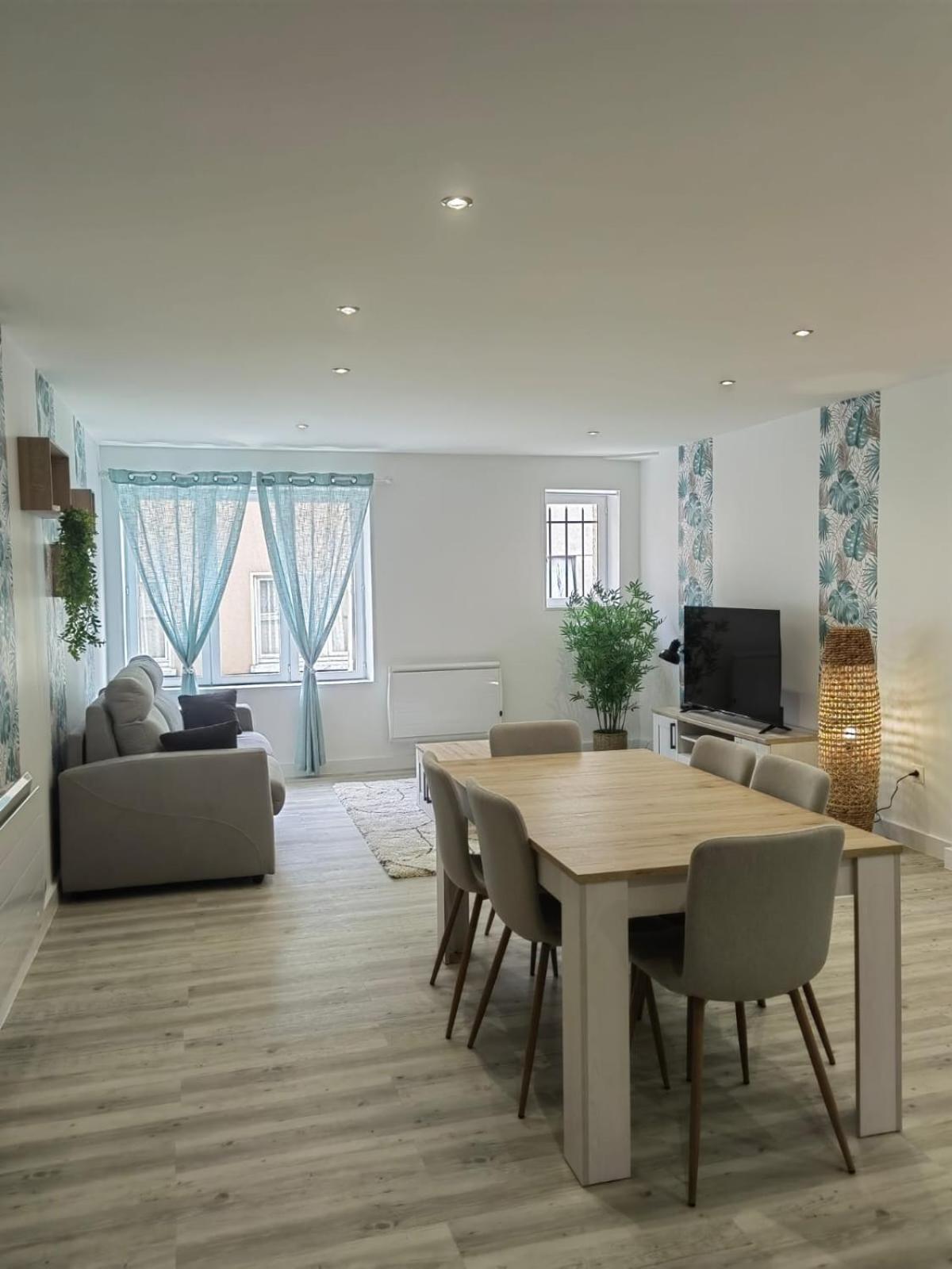 Bel Appartement Bord Du Rhone ヴァランス エクステリア 写真